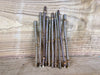 Hardwood plant cuttings with visible buds and bark texture, arranged against a rustic wooden background.