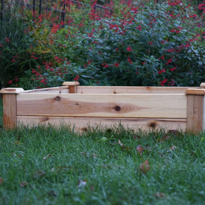 Cedar raised garden bed on green grass. Backyard gardening planter with vibrant red flowers in the background.