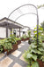 Modern backyard vegetable garden with Corten steel raised beds, arbors, lush plants, gravel path, and home patio.