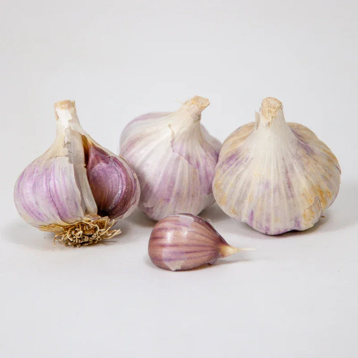 Organic German Extra Hardy Garlic (lb)