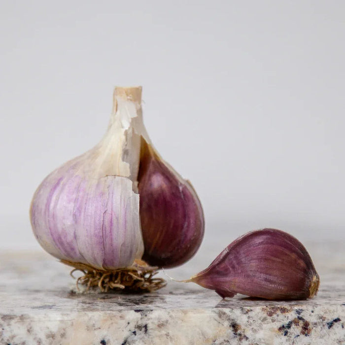 Organic German Extra Hardy Garlic (lb)