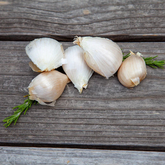 Elephant Garlic (lb)