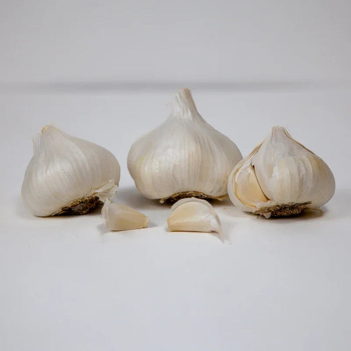 California Early White Garlic (lb)