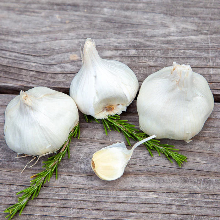 Organic Inchelium Red Garlic (lb)