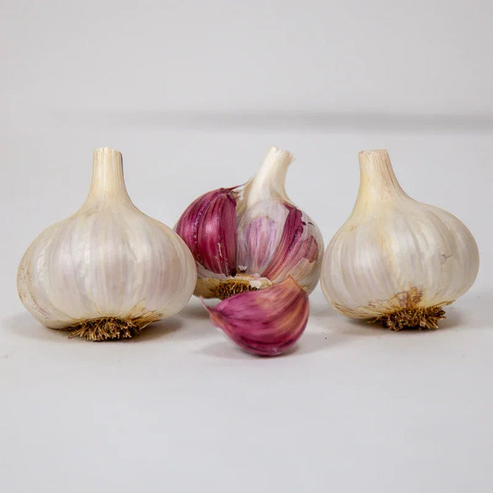 Spanish Roja Garlic (lb)