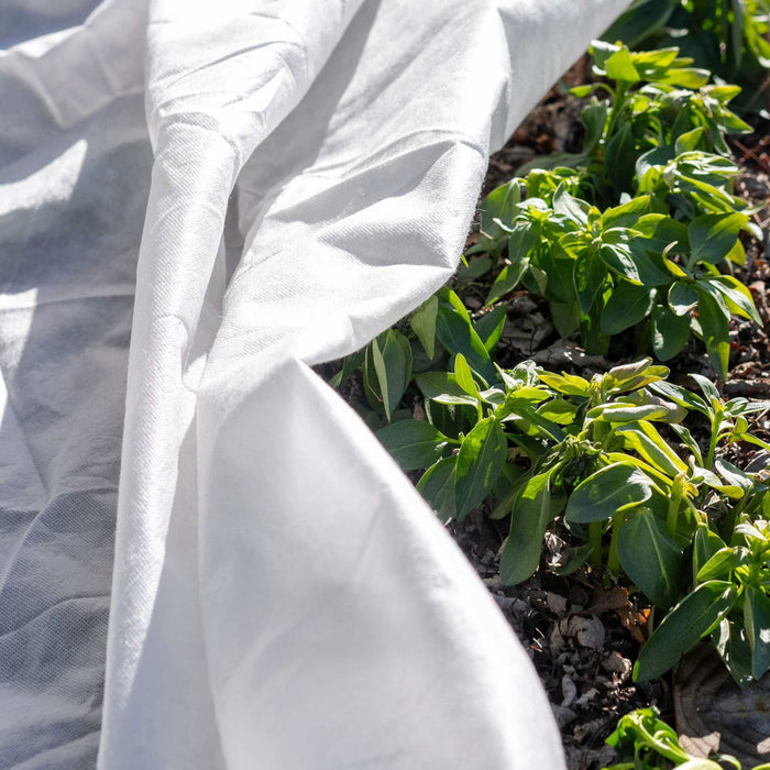 Frost Blankets - Heavy Duty