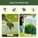 Garden plant protection from birds, squirrels, ants. Damaged leaf vs. lush plants in raised bed with protective mesh cover.