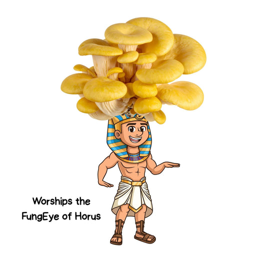Egyptian pharaoh cartoon wearing yellow oyster mushroom headdress. Pun: 'Worships the FungEye of Horus'.