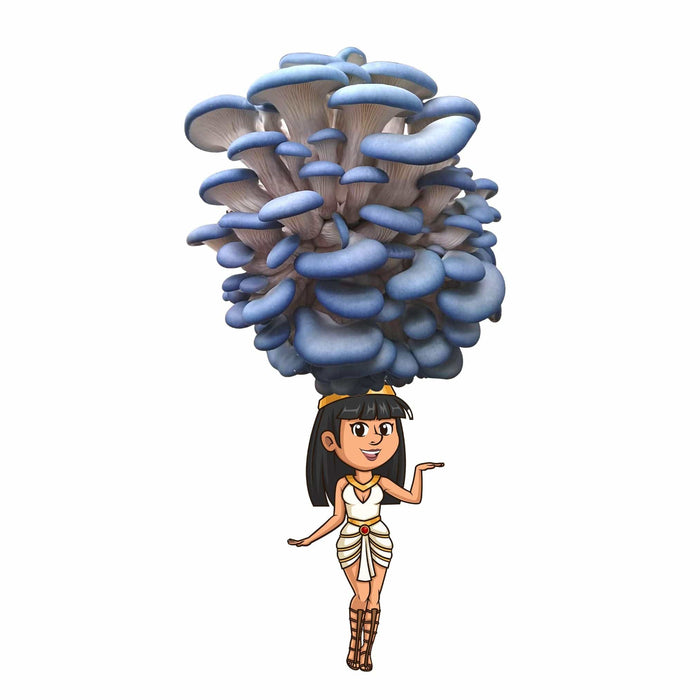 Cartoon Egyptian girl balancing large blue oyster mushroom cluster.