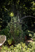 Border Tuteur Trellis