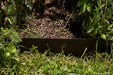 Metal landscape edging separating lush green grass from a mulched garden bed with various plants and herbs.