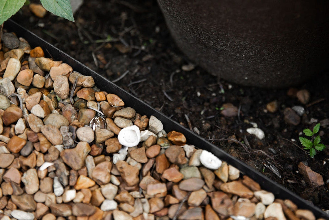 Brown pebbles, white shells, black garden edging, dark soil with green sprouts, and a large planter. Outdoor landscaping.