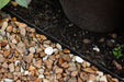 Brown pebbles, white shells, black garden edging, dark soil with green sprouts, and a large planter. Outdoor landscaping.