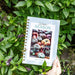 Gardenary 'Warm Season' planner featuring heirloom tomatoes. Hand holding journal among basil plants.