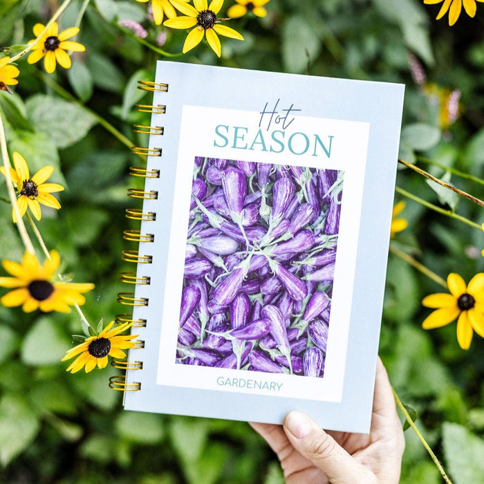 "Hot Season" Gardenary journal with purple eggplants on cover, held in a vibrant garden with yellow Black-eyed Susans.