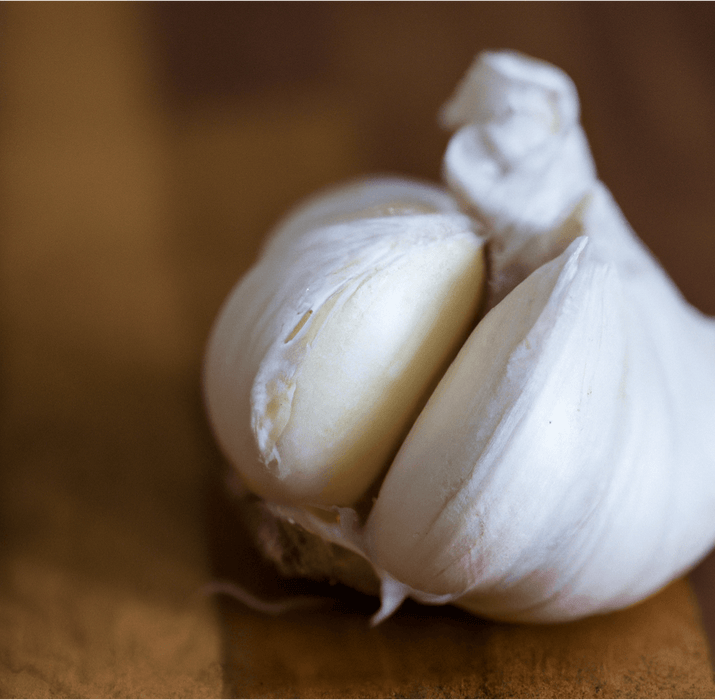 Organic German Extra Hardy Garlic (lb)