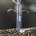 Purple, hairy plant seedling stem with a clear support clip, growing in rich soil.