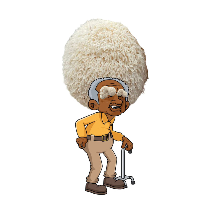 Cartoon senior man with huge white Lions Mane mushroom hair and eye covers, holding a quad-cane.