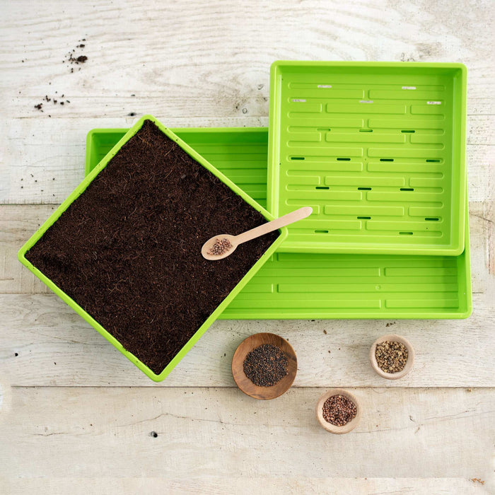 Microgreens planting kit: soil in tray, seeds in spoon & bowls, green growing trays on rustic wood.