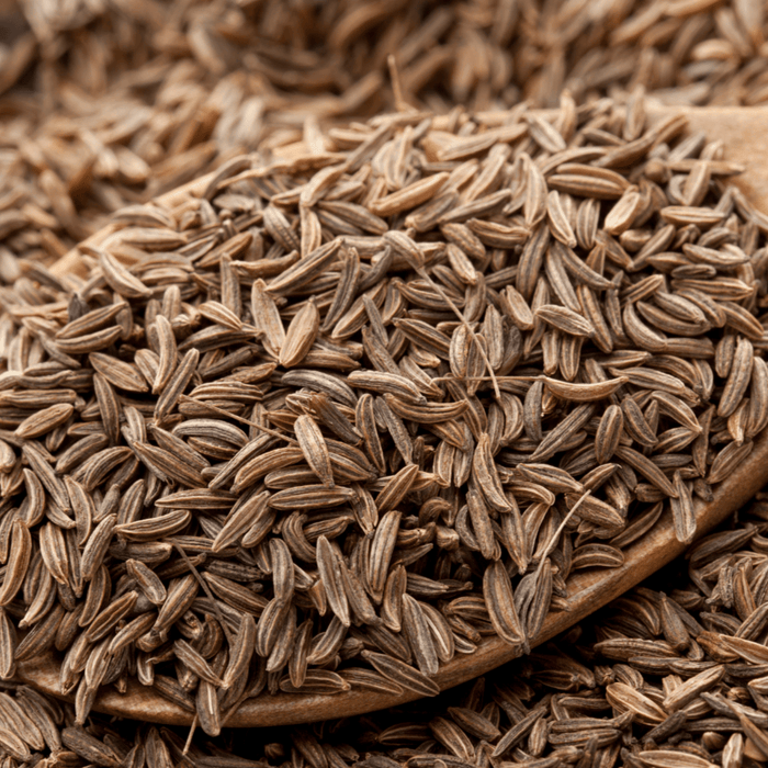 Whole cumin seeds on a wooden spoon, a popular spice for cooking and seasoning.