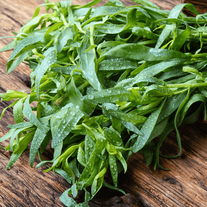 Fresh tarragon herb with water drops on a rustic wooden background. Vibrant green seasoning for cooking.