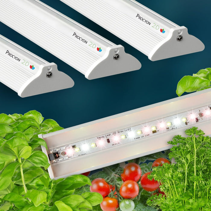 Procyon 2.0 LED grow lights for indoor gardening. Happy Leaf full spectrum light nurturing basil, tomatoes, parsley.