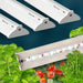 Procyon 2.0 LED grow lights for indoor gardening. Happy Leaf full spectrum light nurturing basil, tomatoes, parsley.