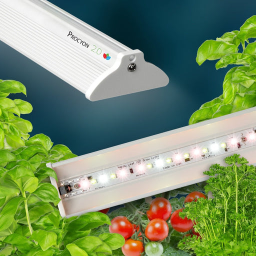 Procyon 2.0 & Happy Leaf LED grow lights (Made in USA) illuminating fresh basil, tomatoes, parsley for indoor gardens.
