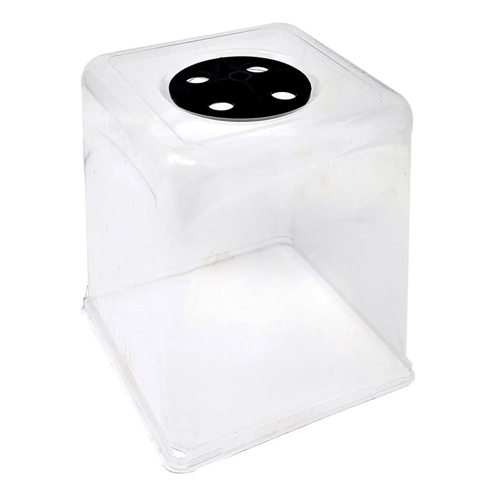 Clear plastic square cloche with black vented lid for plant propagation, seedling starter, and humidity.