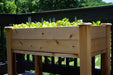 Cedar raised garden bed on a deck with fresh lettuce and leafy greens. Ideal for patio container gardening.