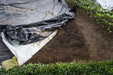 Agricultural field with young plants, black and white plastic mulch, bare soil, and green grass.