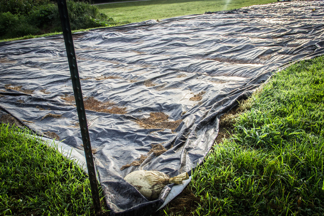 Black plastic weed control tarp covering a garden bed, surrounded by dew-kissed green grass.
