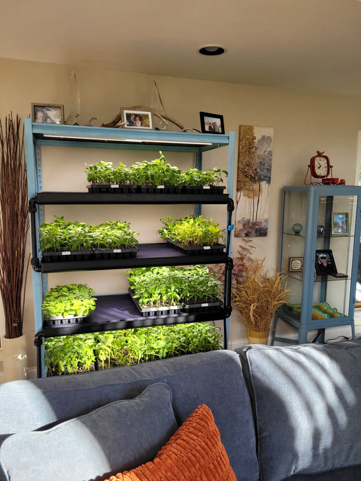 Seedwell Expansion Tray