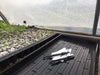Greenhouse propagation: young plant seedlings in trays with perlite, plant markers ready for gardening.