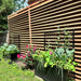 Outdoor wooden privacy screen with black raised garden planters featuring peas, broccoli, herbs, and blooming pink roses.