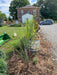 Raised garden bed with galvanized stock tank, unique curly-leaved plant, wood mulch, lawn, brick house, gravel drive.