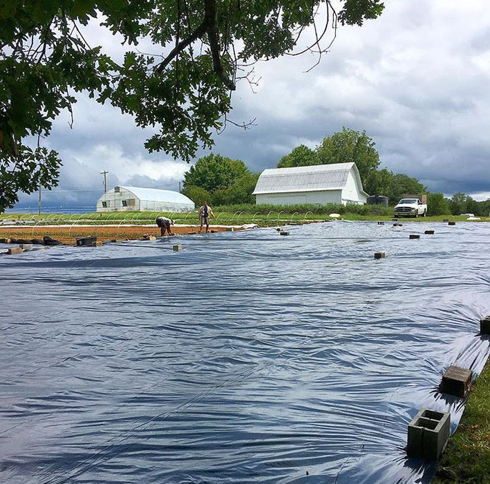 Rural farm scene: Workers lay black plastic mulch on a field. Greenhouse, white barn, and pickup truck visible under cloudy sky.