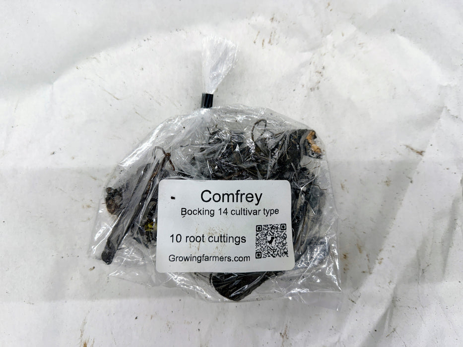 Packet of 10 Comfrey Bocking 14 root cuttings for planting, with a GrowingFarmers.com label.