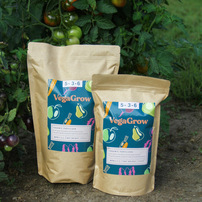 VegaGrow organic fertilizer bags (6lb, 3lb) with NPK 5-3-6 on soil, surrounded by ripening tomato plants.