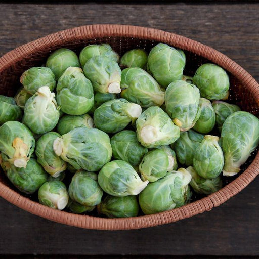 Abundance of fresh green Brussels sprouts in a woven basket on a dark wooden surface. Healthy, organic produce.
