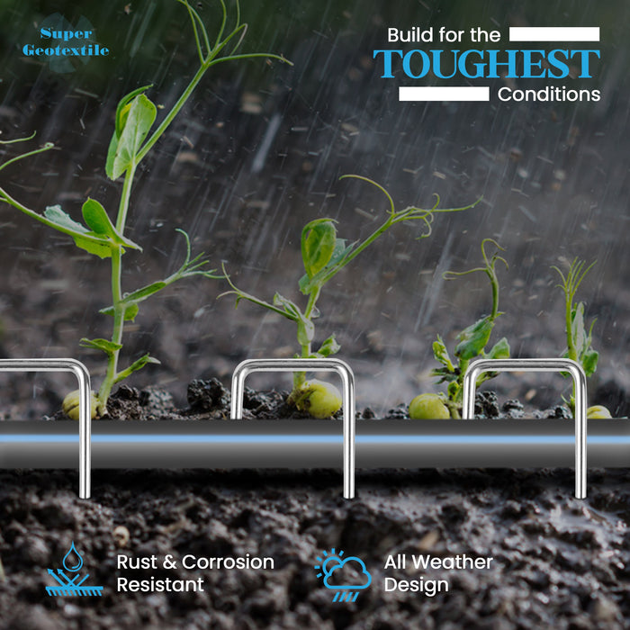 All-weather rust-resistant garden stakes secure a drip irrigation line in rainy soil with young plants.