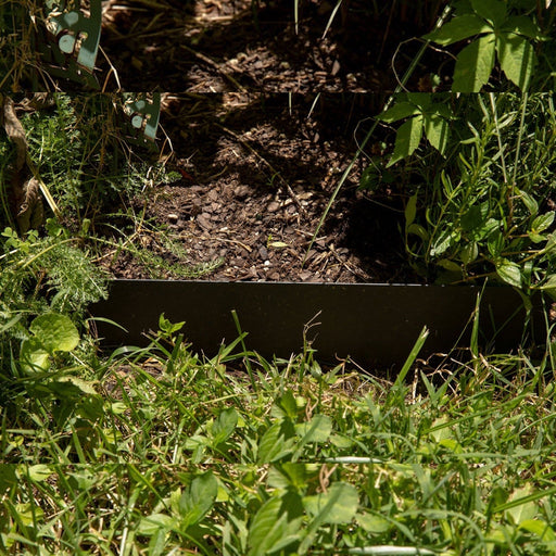 Dark garden border separating lush green grass from rich soil with wood mulch in a sunny outdoor setting.