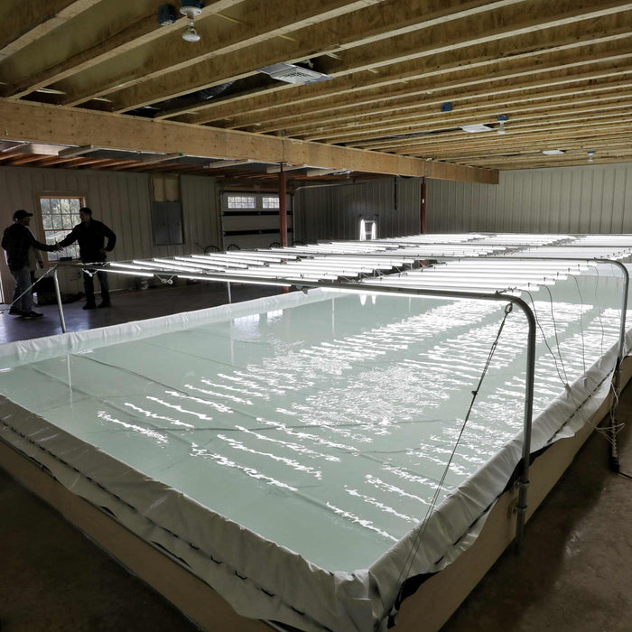 Commercial indoor aquaculture facility with large water pools, bright grow lights, and two men observing.