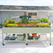 Happy gardener with Vego Garden raised bed full of colorful flowers. Shelf has seed trays, compost bin, coco mulch.