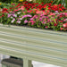 Sage green corrugated raised garden bed with vibrant red, pink, and purple Dianthus flowers.