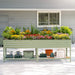 Elevated green metal raised garden bed filled with vibrant flowers. Lower shelf holds seedlings, pots, and Vego Garden coco mulch.