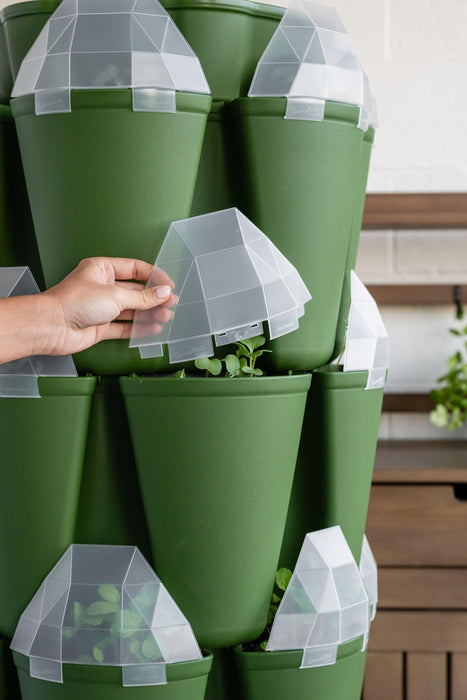 Hand placing a Seed House mini greenhouse onto a green GreenStalk vertical garden pot with young plants. Ideal for seedlings.