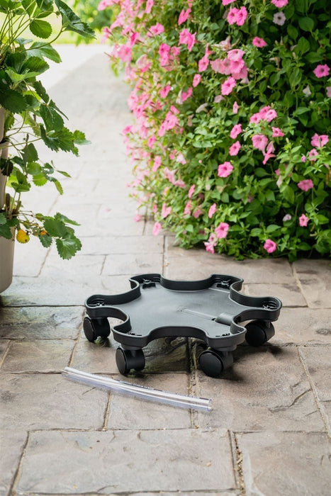 Durable black plastic rolling plant caddy on a stone patio, next to a strawberry tower and vibrant pink petunias.