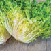 Crisp frisée lettuce with green and yellow curly leaves on a rustic wooden surface. Fresh chicory for healthy salads.