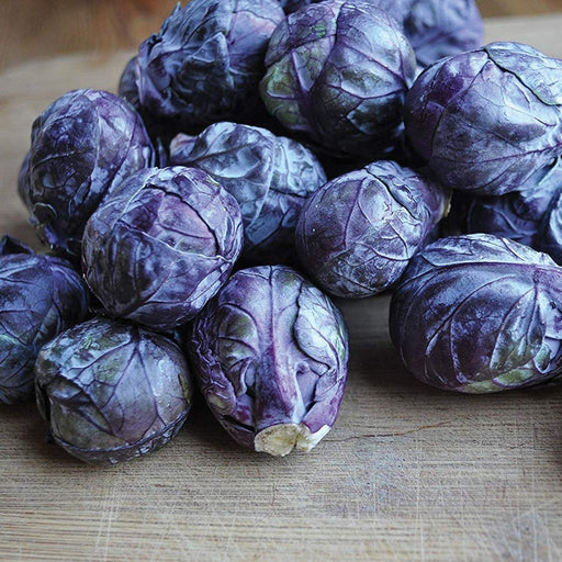 Fresh purple Brussels sprouts on a rustic wooden board. Healthy, vibrant vegetables, perfect for gourmet recipes.